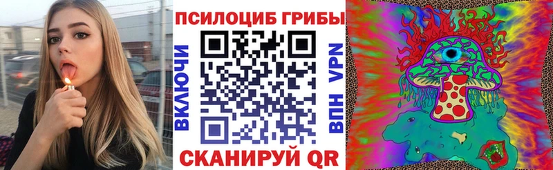 Псилоцибиновые грибы прущие грибы  Купить закладки  Элиста 
