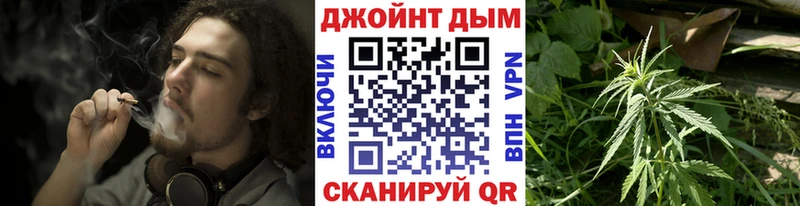 Купить  Элиста  Марихуана индика 